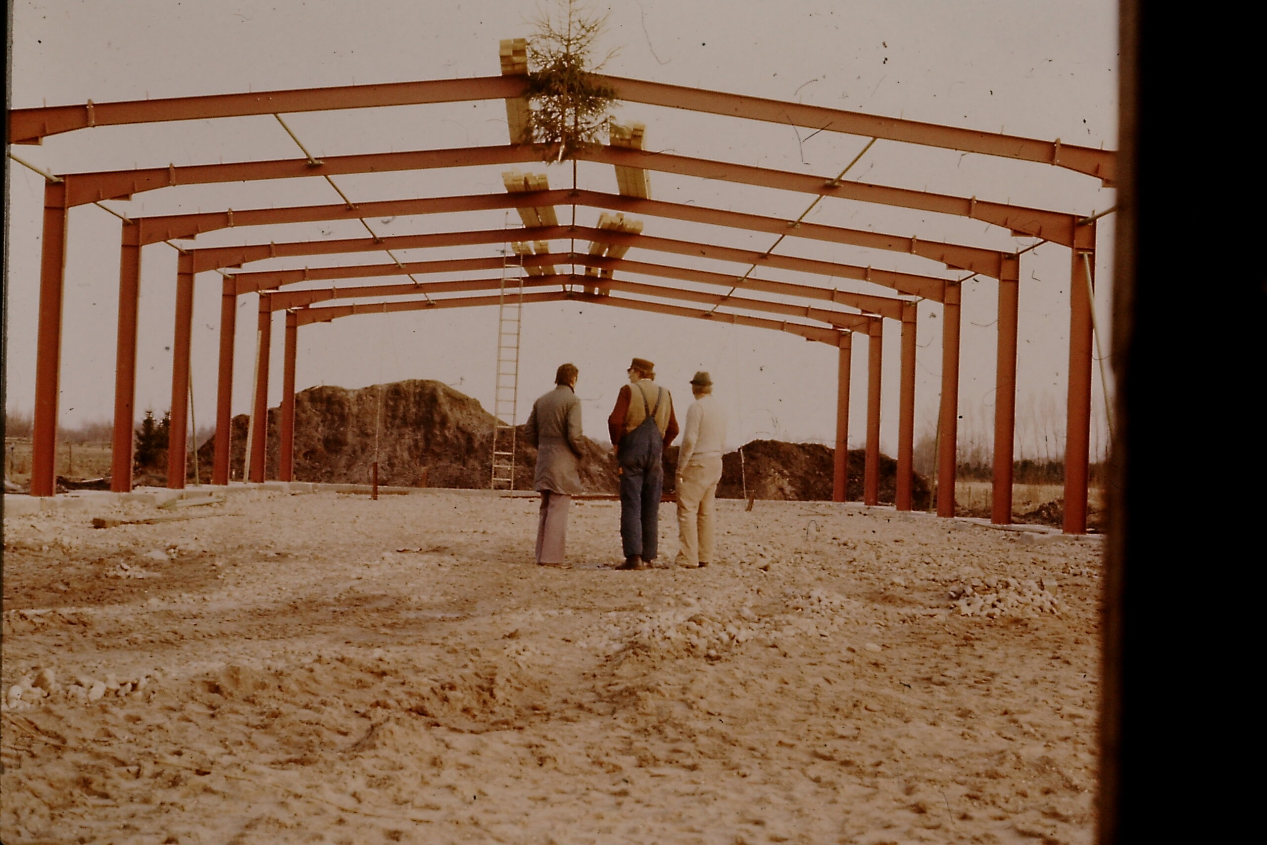 My beautiful picture